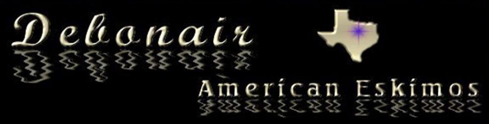 Debonair American Eskimos